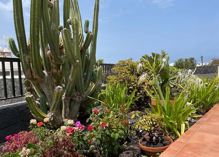 Burgao Playa Blanca (Lanzarote)